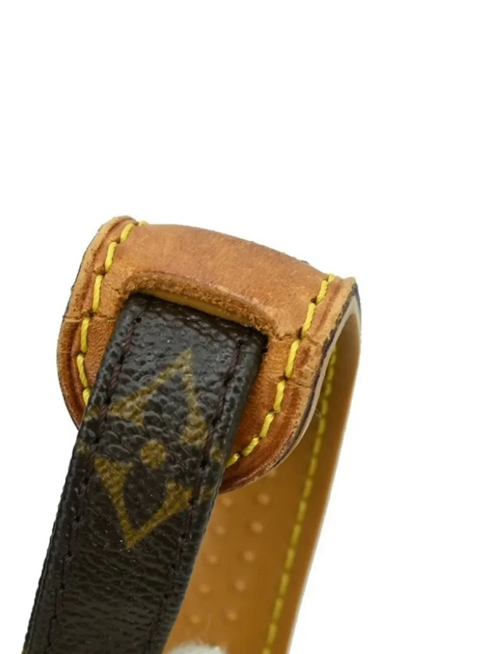 Louis Vuitton Monogram Amazon Crossbody Bag